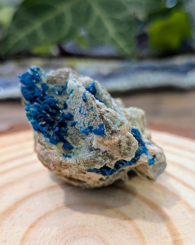 Blue Veszelyite Specimen